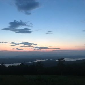 Meet your Posher, Rose